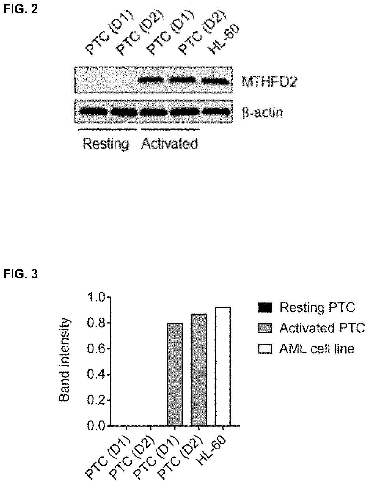 2,6-diamino-3,4-dihydropyrimidin-4-one derivatives and use thereof in therapy