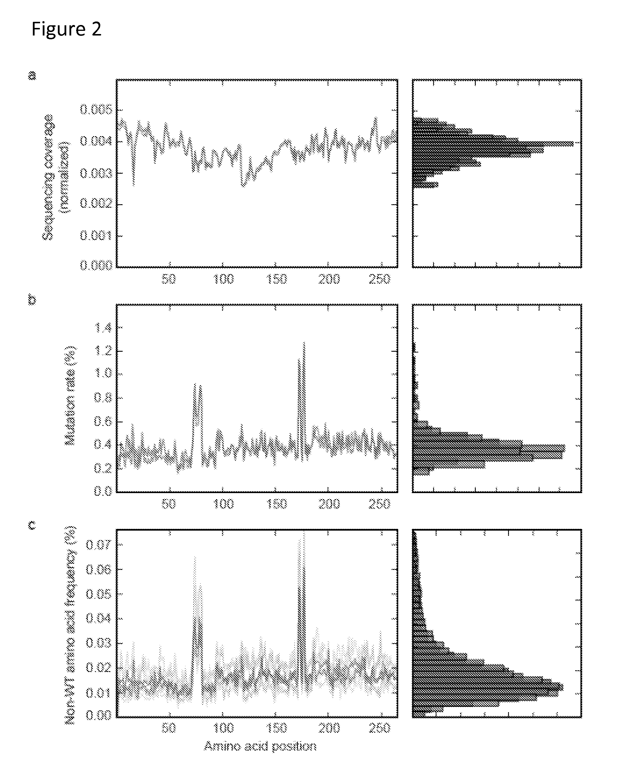 Methods for Generating Pools of Variants of a DNA Template