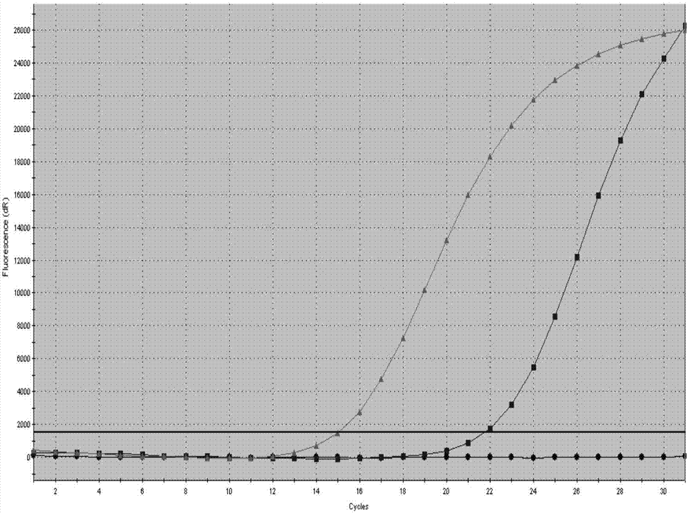 Primers, probes, detection systems and kits for one-time detection of multiple gene mutations in colorectal cancer