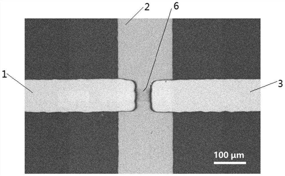 A kind of electronic nose device and preparation method thereof