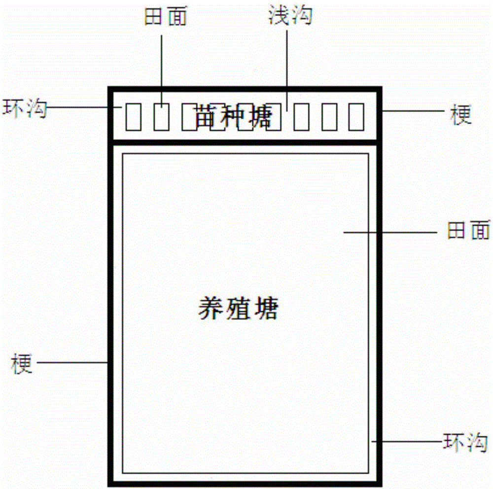 Novel crayfish and rice rotation breeding and planting method