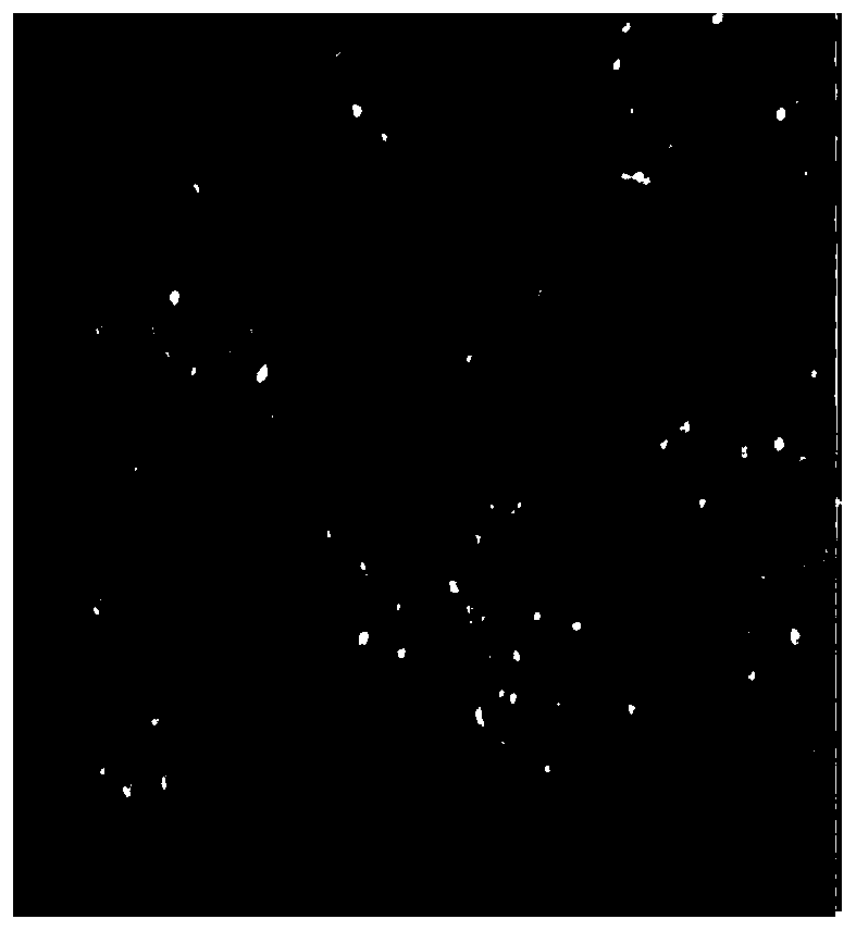 Method for preparing PD-1 gene-deficient type PD-1-CART cell preparation