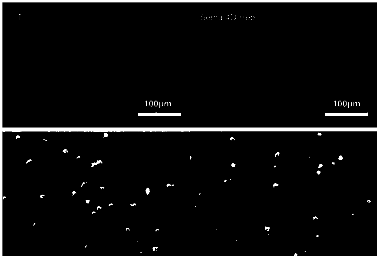 A method of constructing sema 4D/Heparin microenvironment on the surface of cardiovascular implant materials