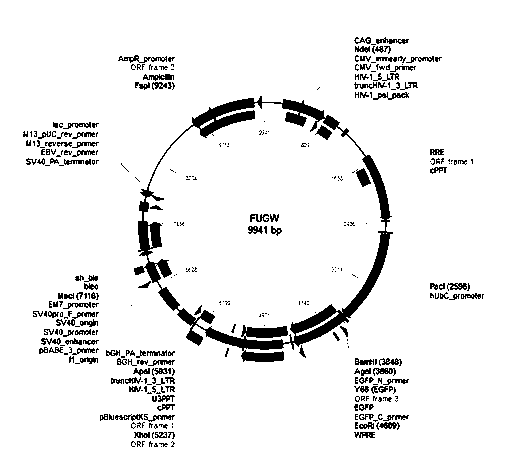 Medicine composition for treating neuron degeneration disease