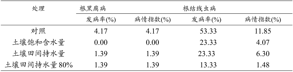 Ecological prevention and treatment method for soil-borne diseases in tobacco field