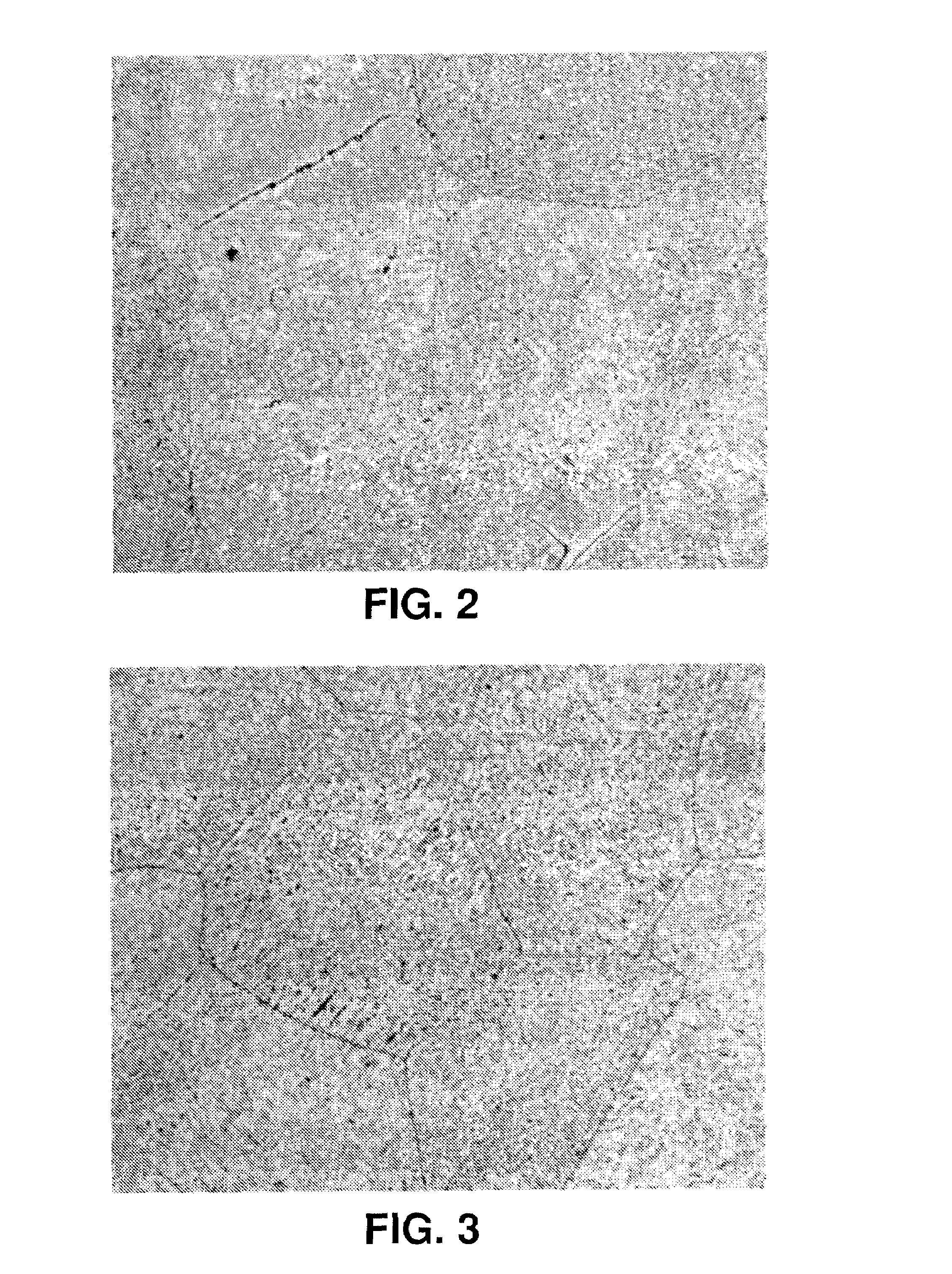 Methods of beta processing titanium alloys