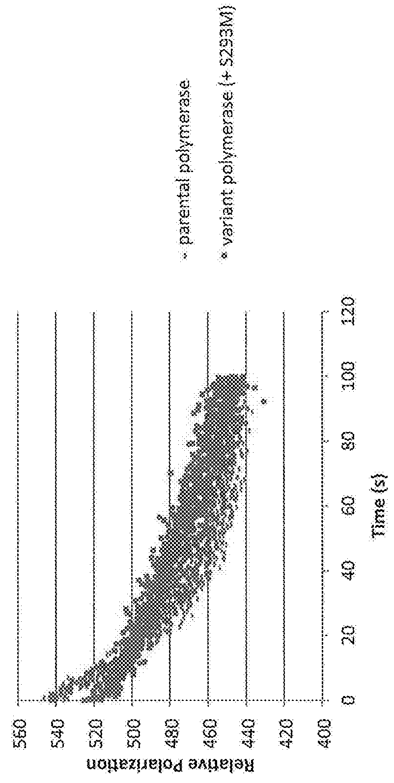 Polymerase Variants