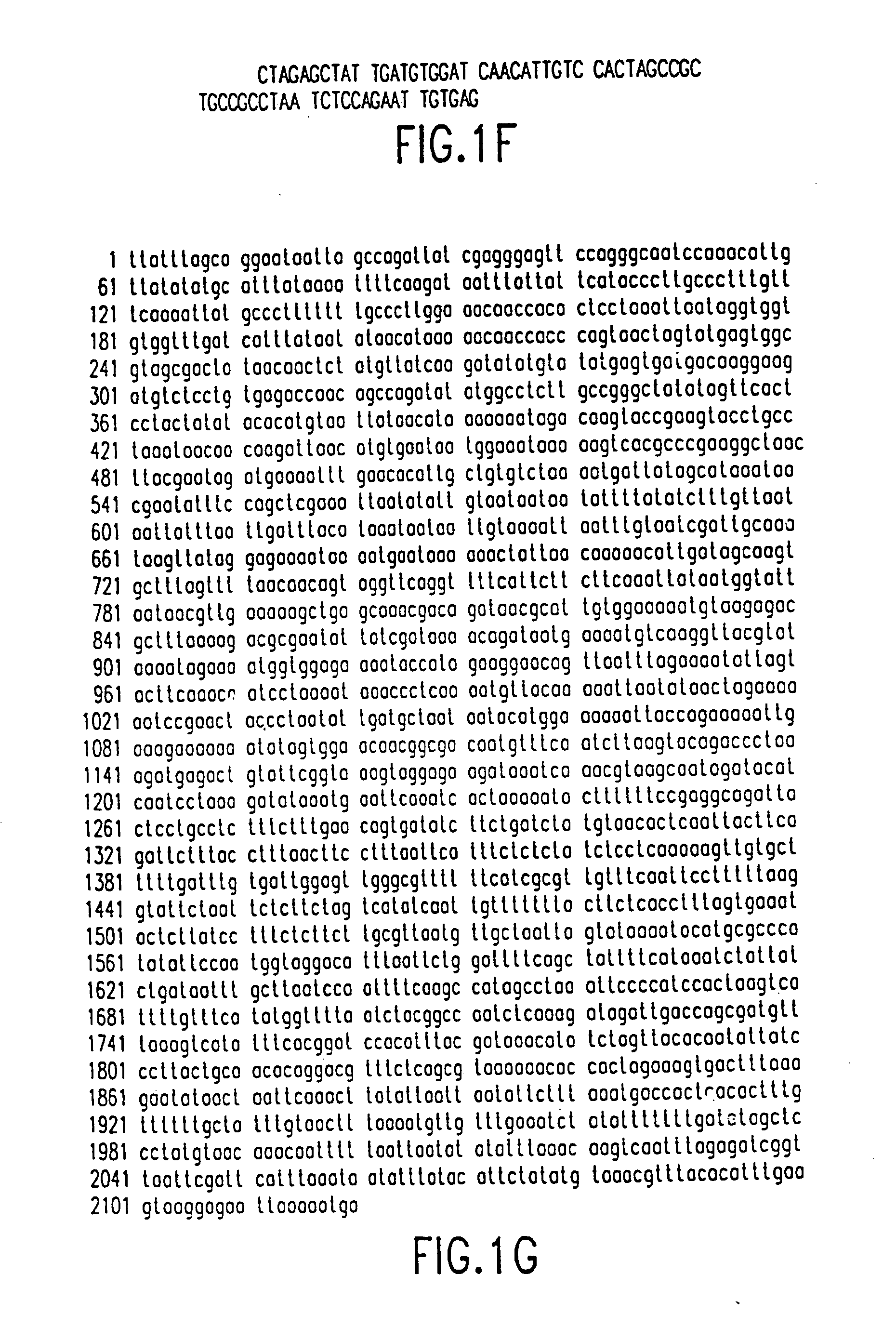 Tissue-specific and pathogen-specific toxic agents, ribozymes, dnazymes and antisense oligonucleotides, and methods of use thereof