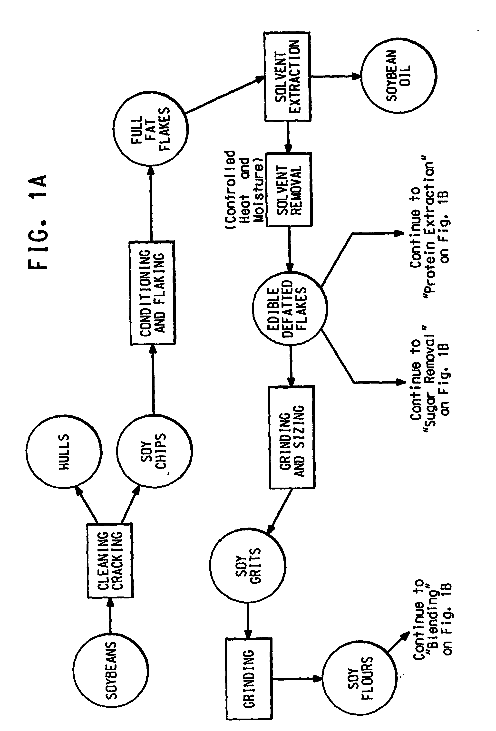 Coated soy product and method for coating