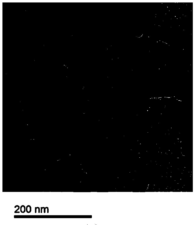 Method for killing tumor cells through combination of gold-mediated near-infrared light heat effect and autophagy inhibitor