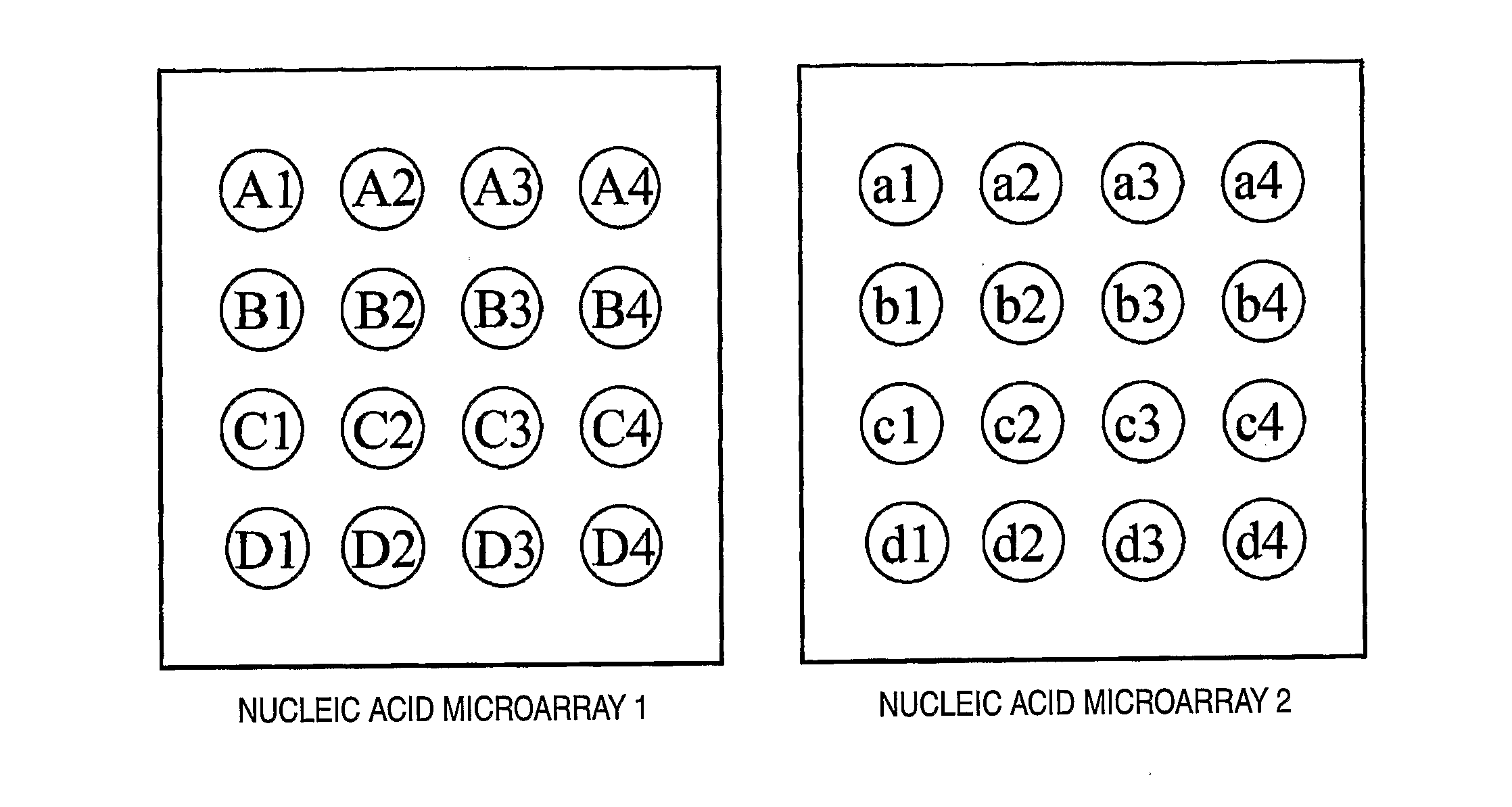 Method for analysis using nucleic acid microarray