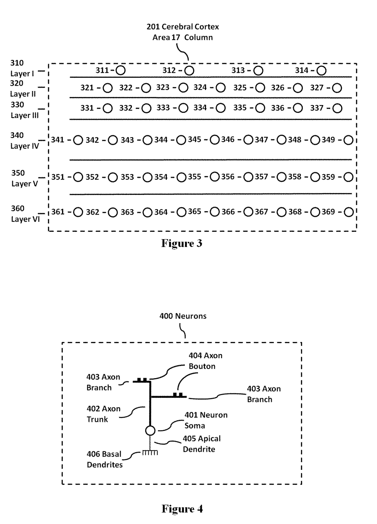 Nervous System Modeling Tool