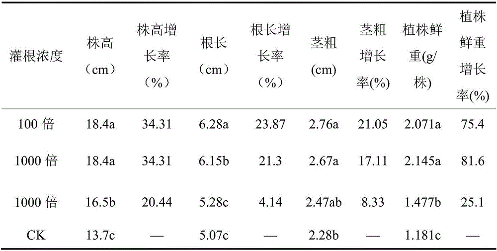 Trichoderma harzianum fermentation process, wettable powder and application thereof