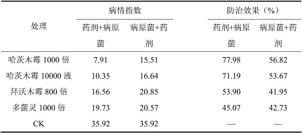 Trichoderma harzianum fermentation process, wettable powder and application thereof