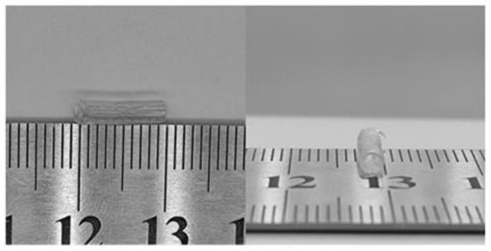 Nanoparticle composite hydrogel nerve conduit and preparation method thereof