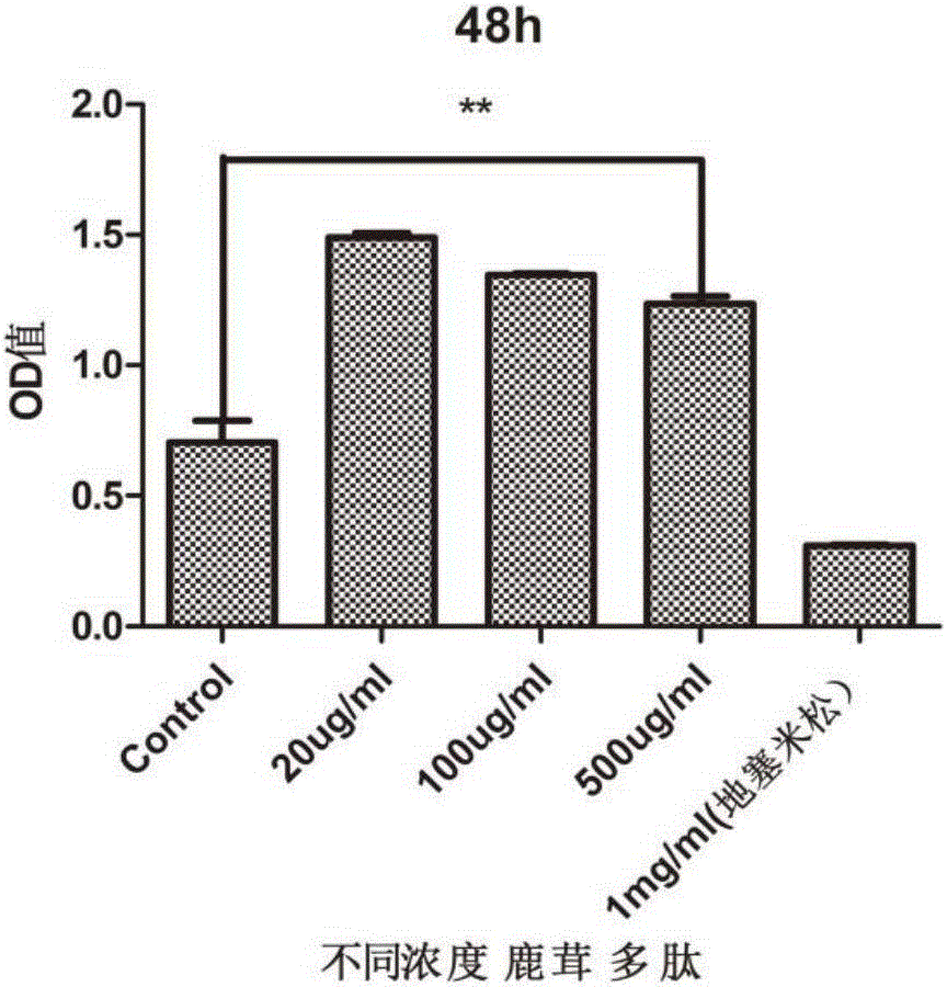 Application of pilose antler peptide in promoting proliferation of mesenchymal stem cells