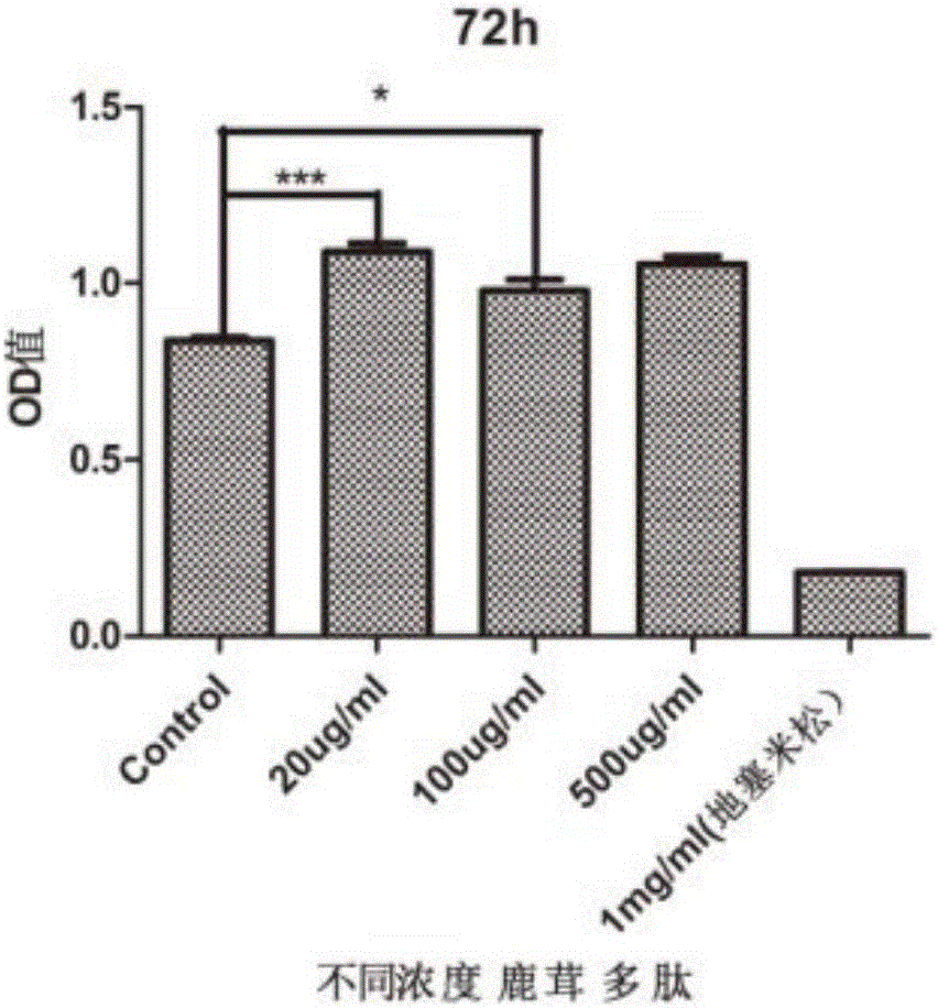 Application of pilose antler peptide in promoting proliferation of mesenchymal stem cells