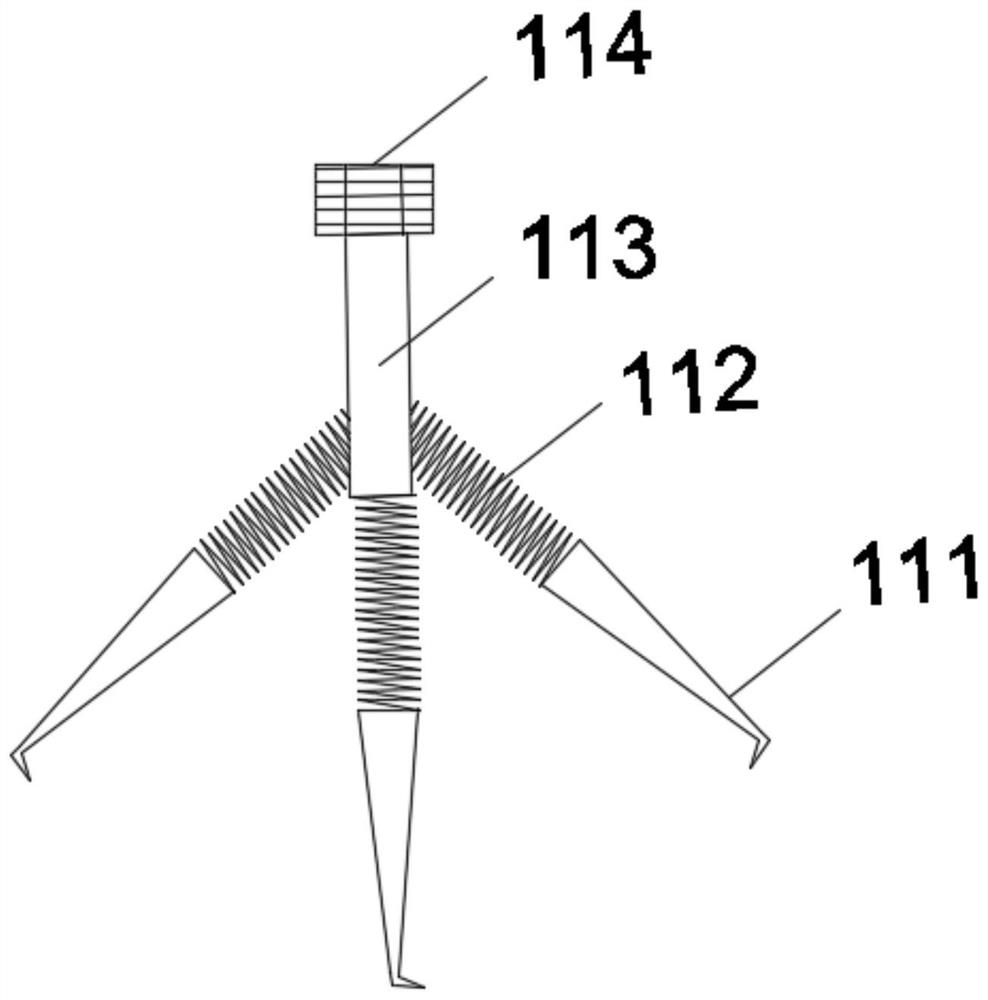 A kind of abalone snail shelling device, processing system and processing technology thereof