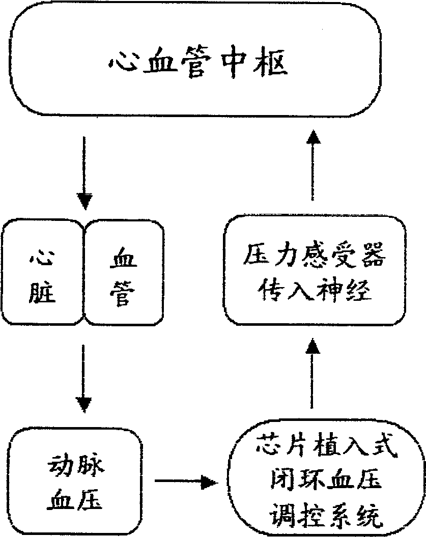 Closed-loop blood-pressure adjusting method with chip inplanted and system thereof