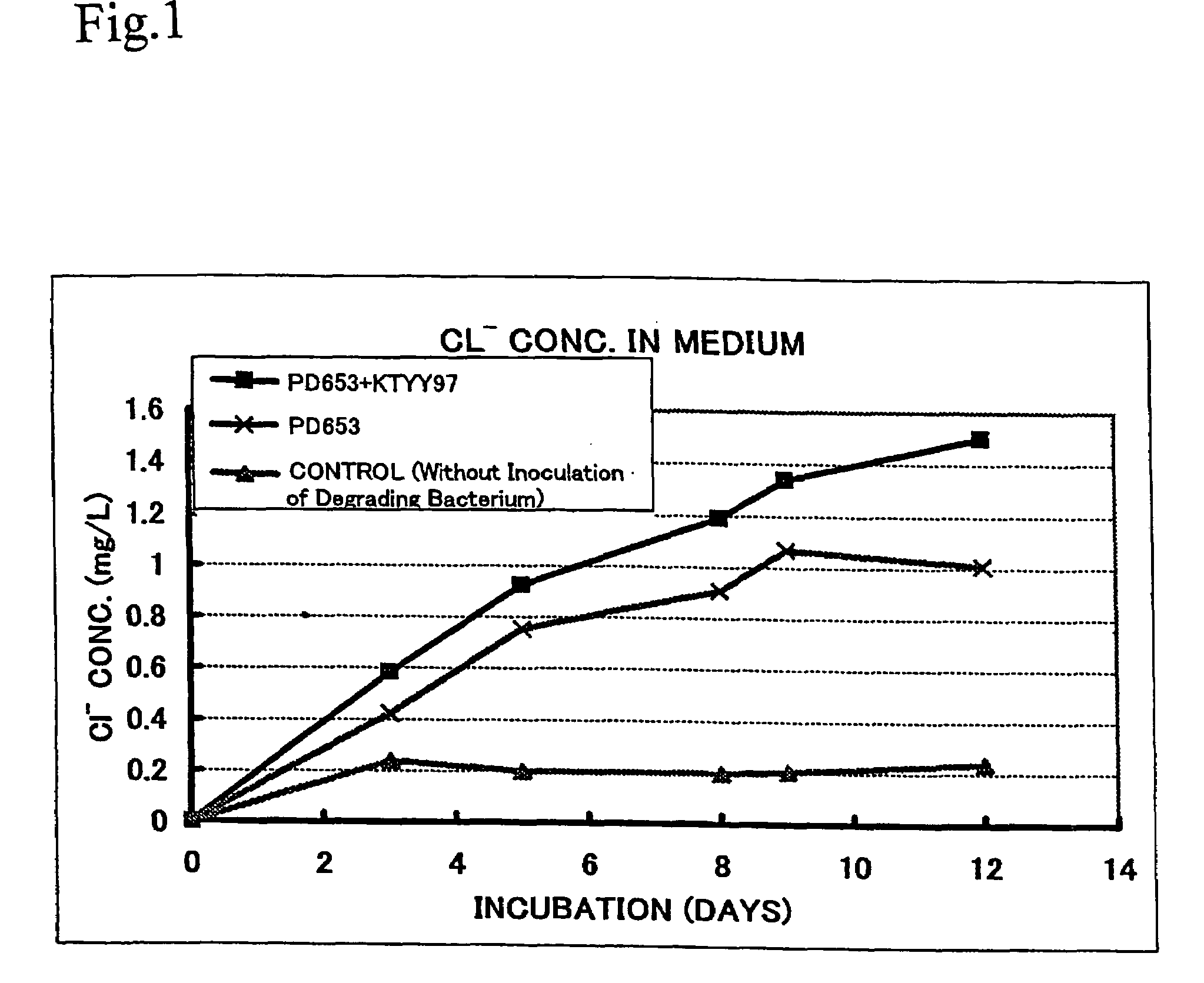 Nocardioides FERM BP-10405 capable of degrading organochlorine pesticide PCNB