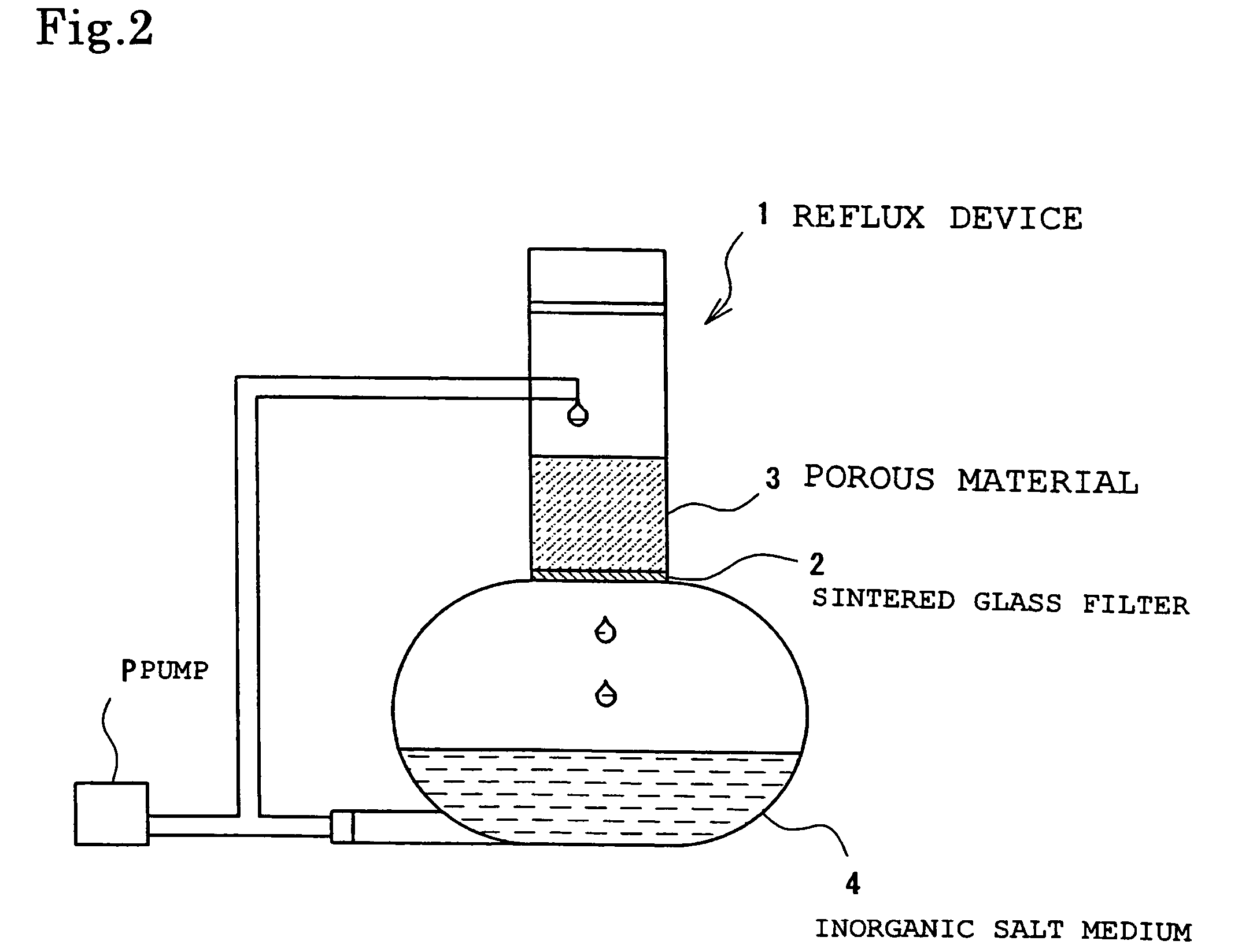 Nocardioides FERM BP-10405 capable of degrading organochlorine pesticide PCNB