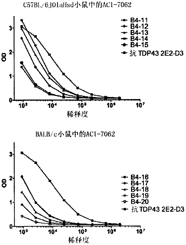 Misfolded tdp-43 binding molecules