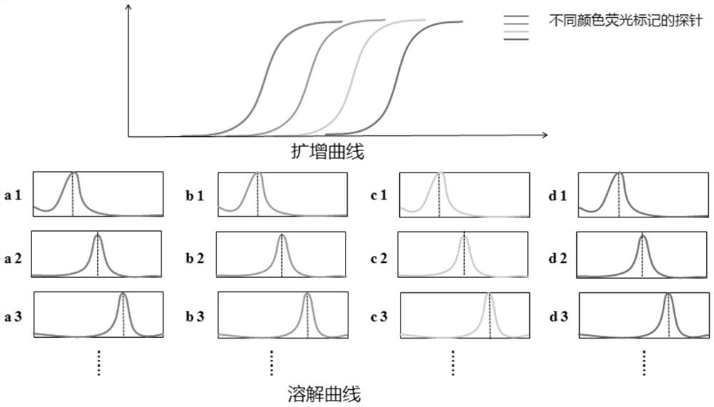 Fluorescent real-time detection reagent and method for simultaneously detecting multiple target genes