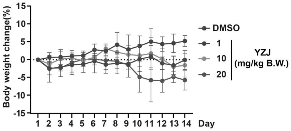 Application of kinase inhibitor in preparation of male contraceptive or product