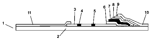 African swine fever virus detection test paper, kit and preparation method thereof