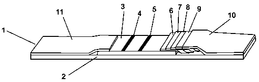 African swine fever virus detection test paper, kit and preparation method thereof