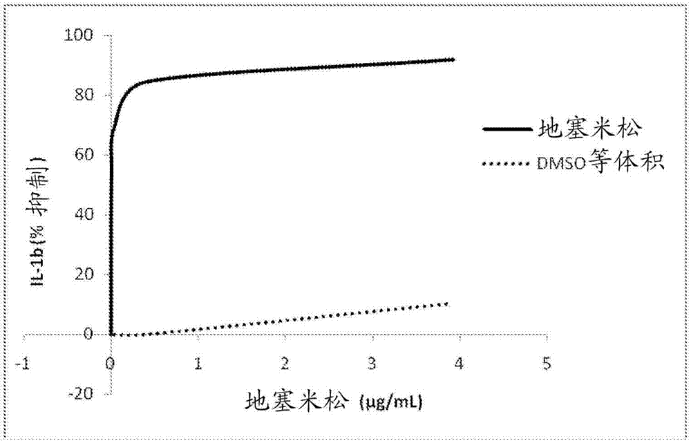 Water-soluble mussel extract