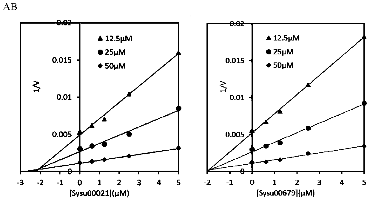 Application of berberine and its derivatives as hexosaminidase inhibitors