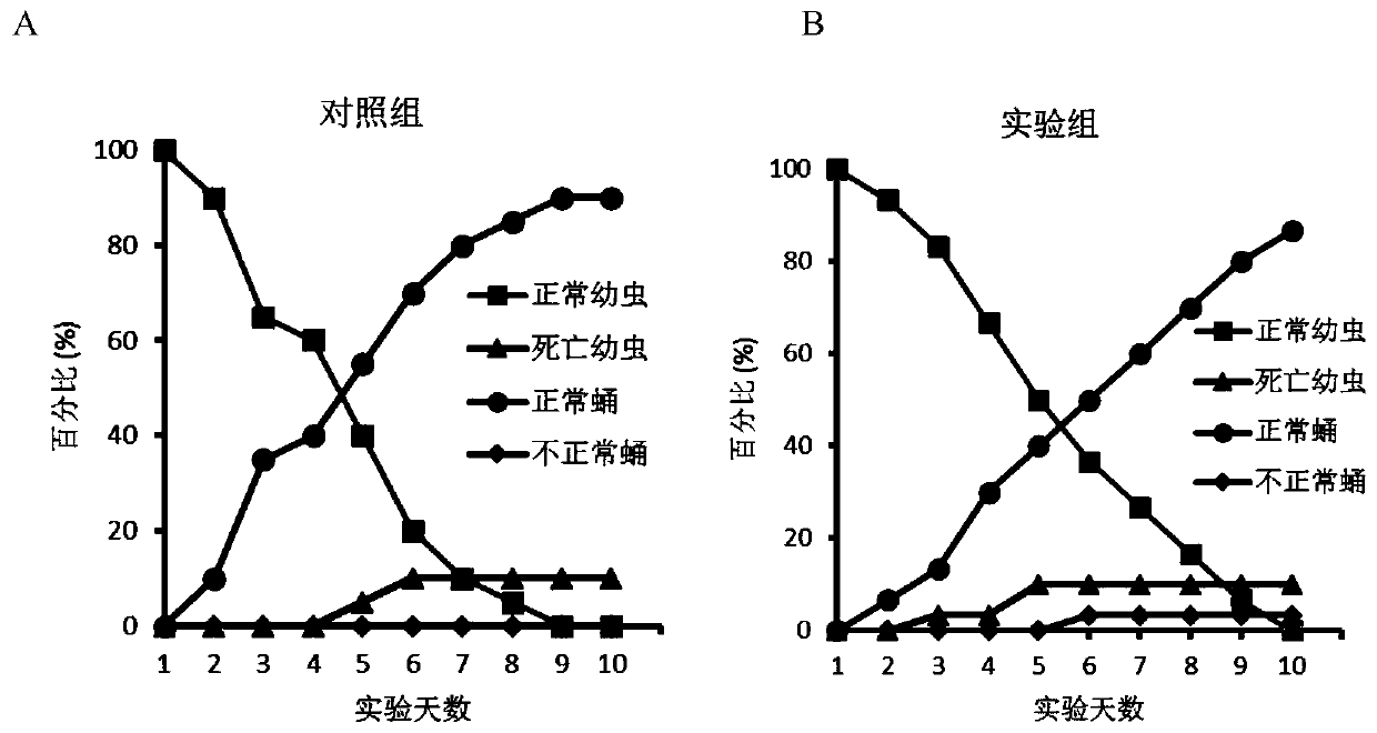 Application of berberine and its derivatives as hexosaminidase inhibitors