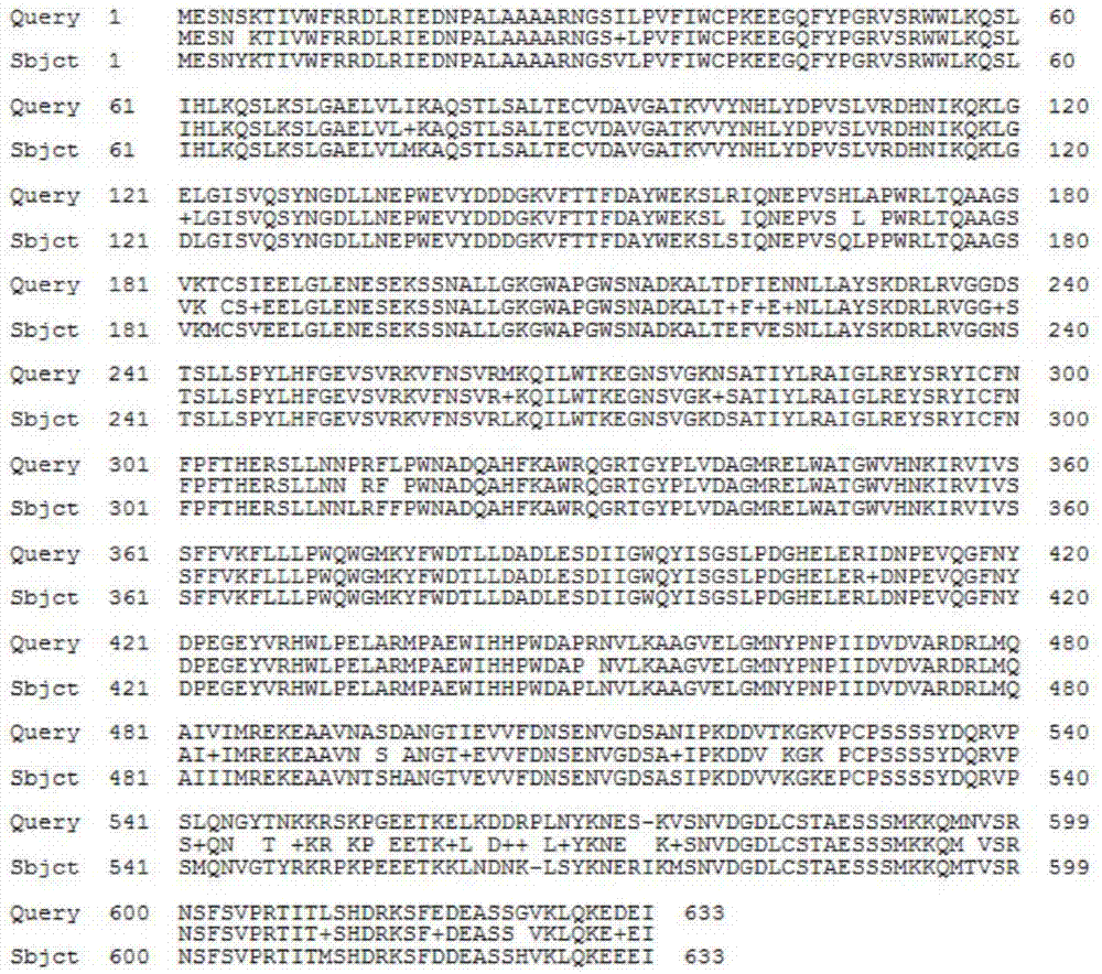 Eggplant cryptochrome gene SmCRY2 and application thereof