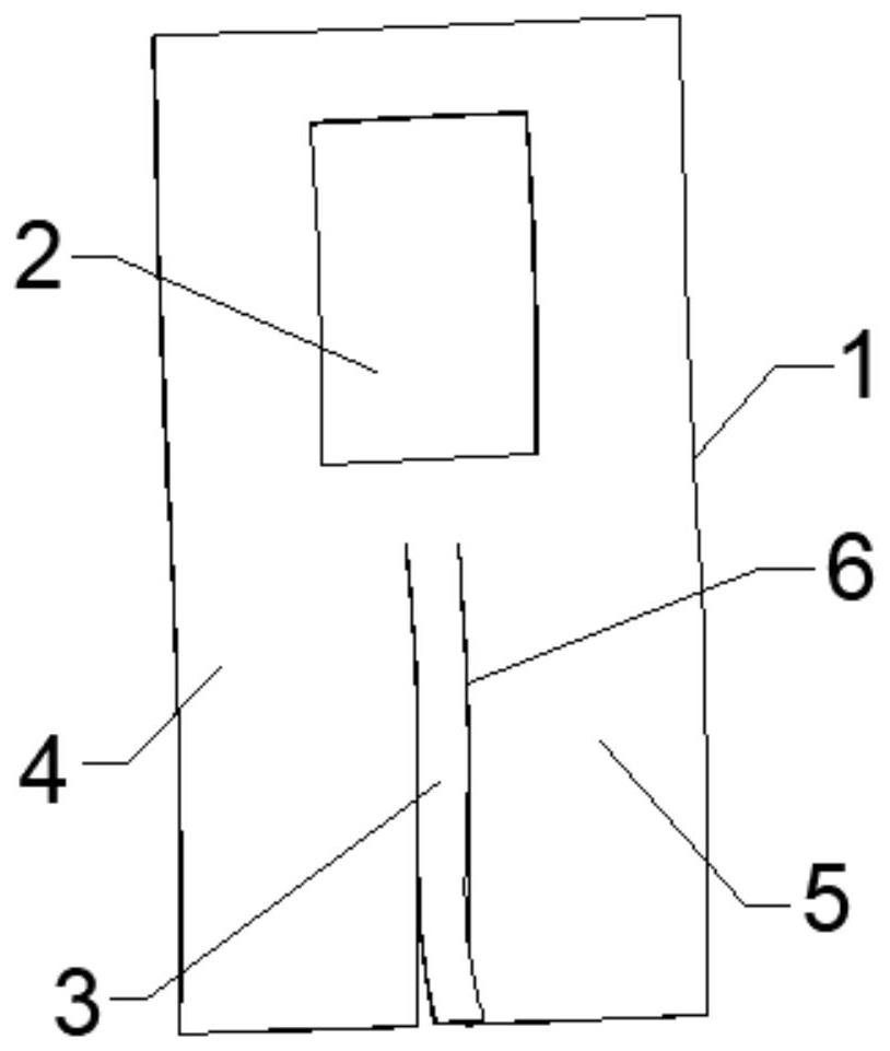 Disposable observable drainage tube fixing application and use method