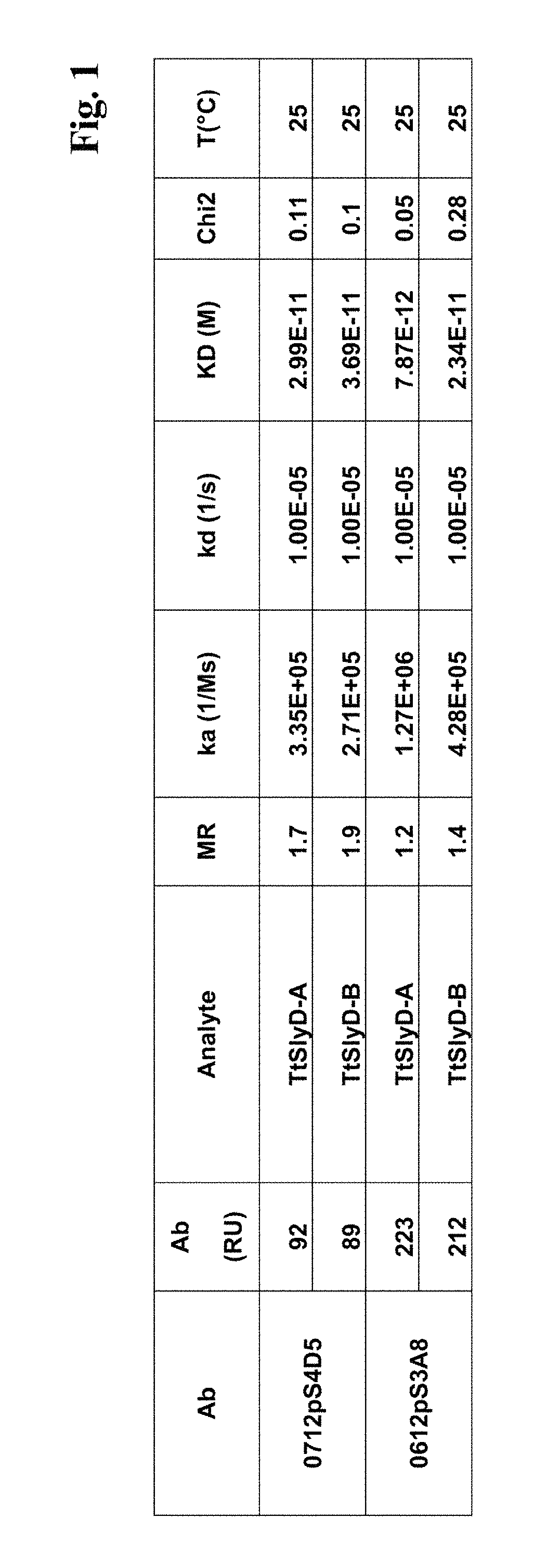 <i>Thermus thermophilus </i>SlyD FKBP domain specific antibodies