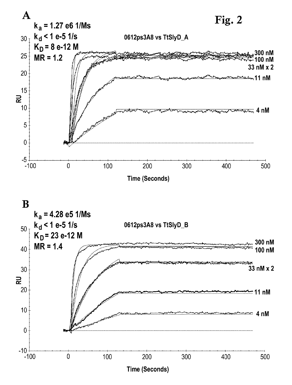 <i>Thermus thermophilus </i>SlyD FKBP domain specific antibodies