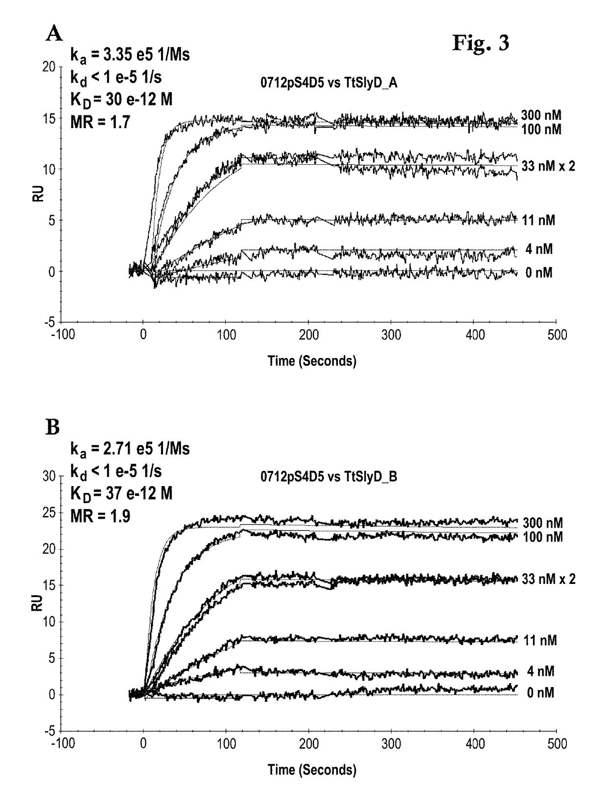 <i>Thermus thermophilus </i>SlyD FKBP domain specific antibodies