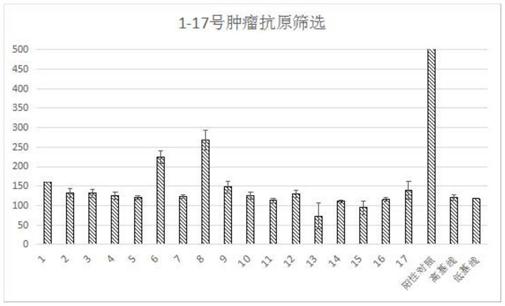 Breast cancer target antigen, CTL cell cultured by breast cancer target antigen in stimulated manner and application of CTL cell