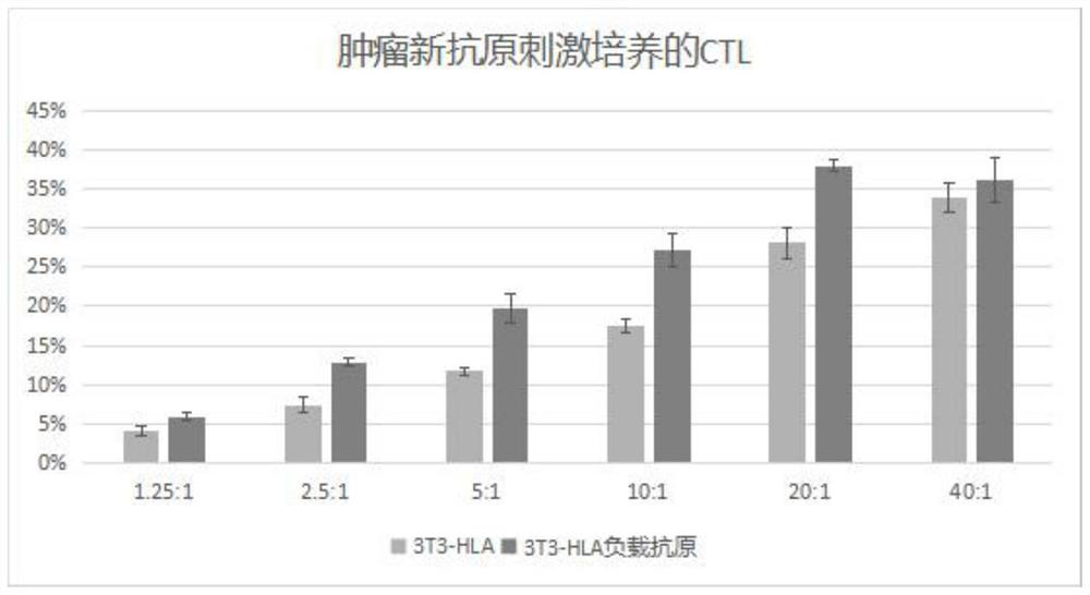 Breast cancer target antigen, CTL cell cultured by breast cancer target antigen in stimulated manner and application of CTL cell