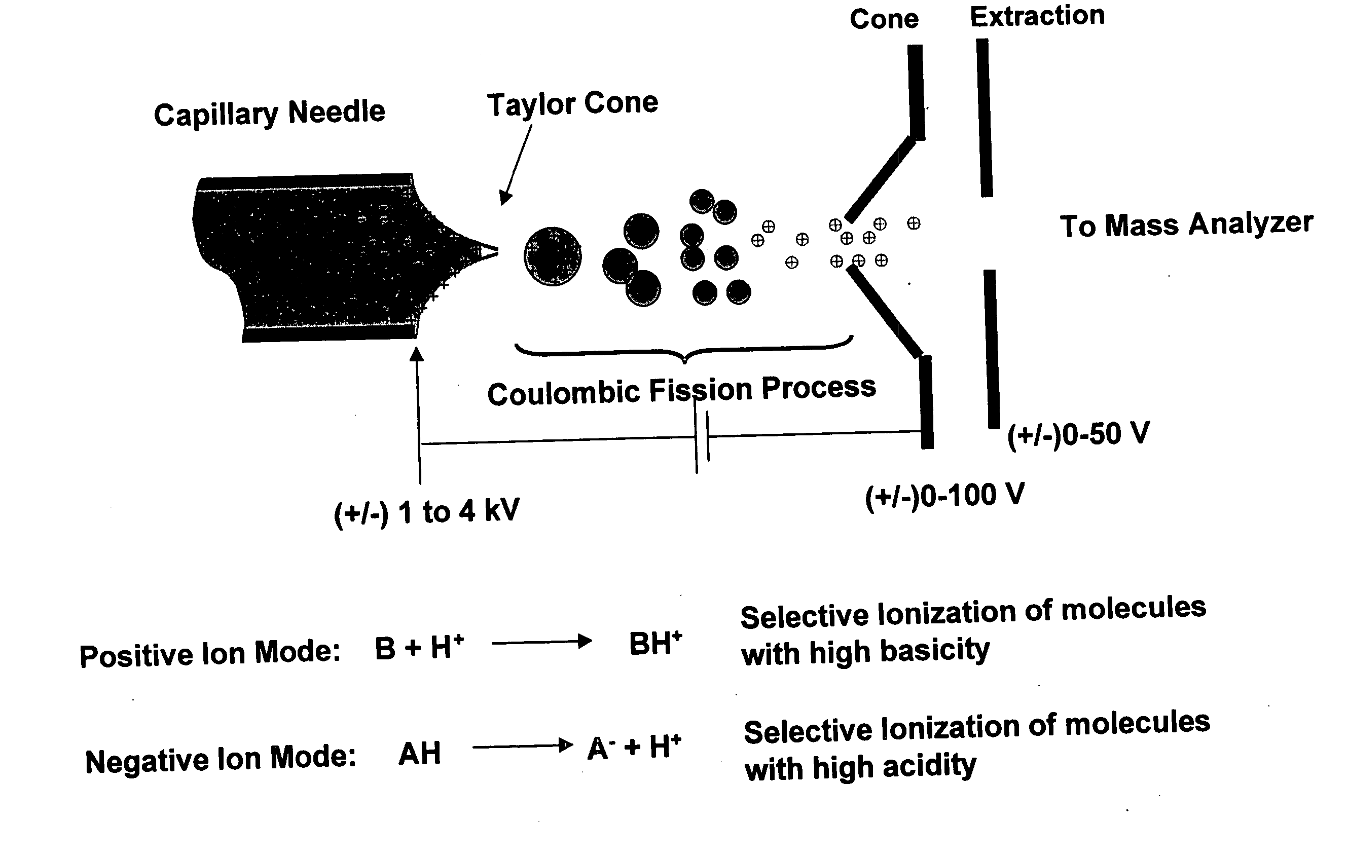 Measurement of distributed total acid numbers by electrospray mass spectrometry