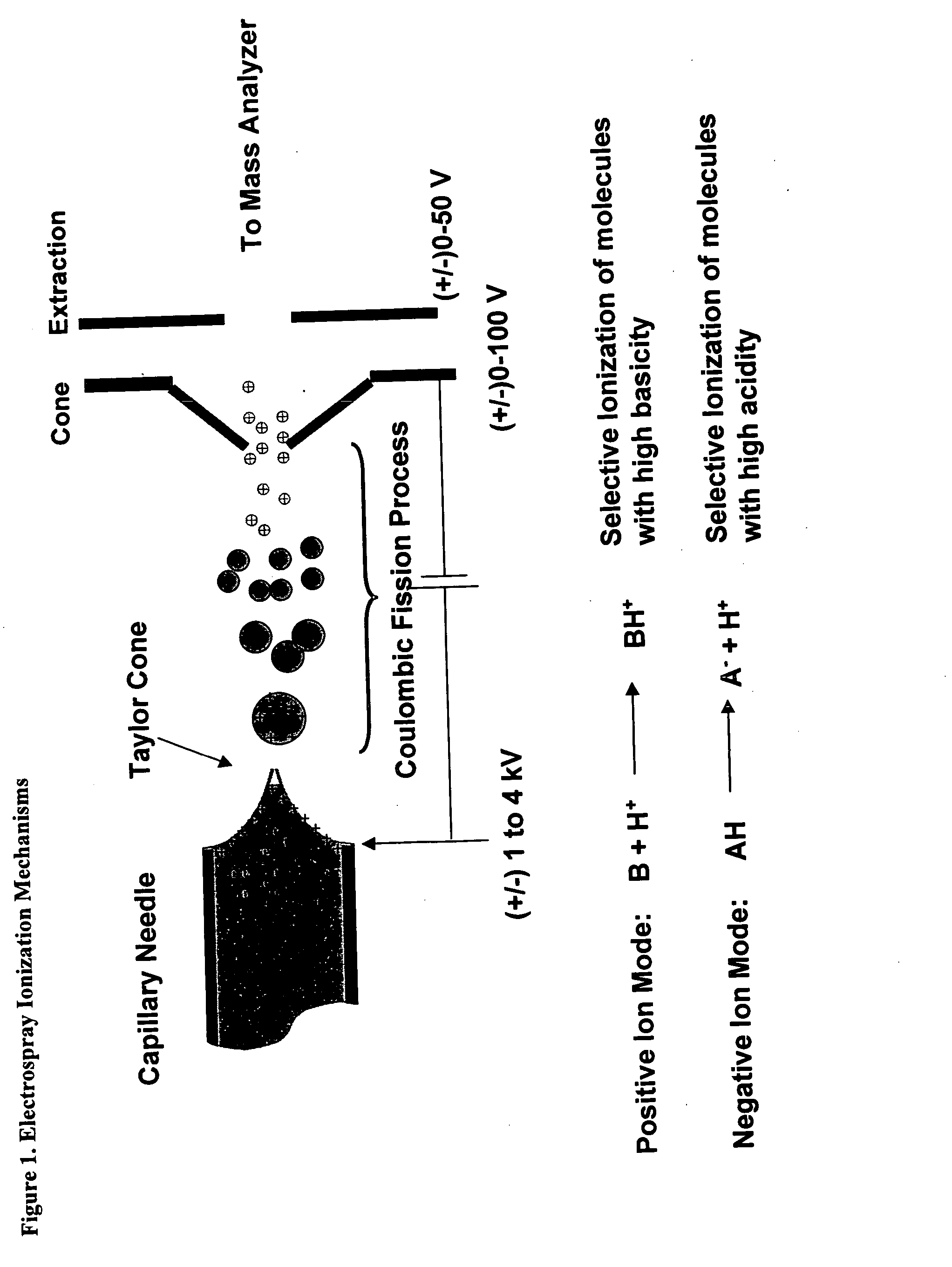 Measurement of distributed total acid numbers by electrospray mass spectrometry