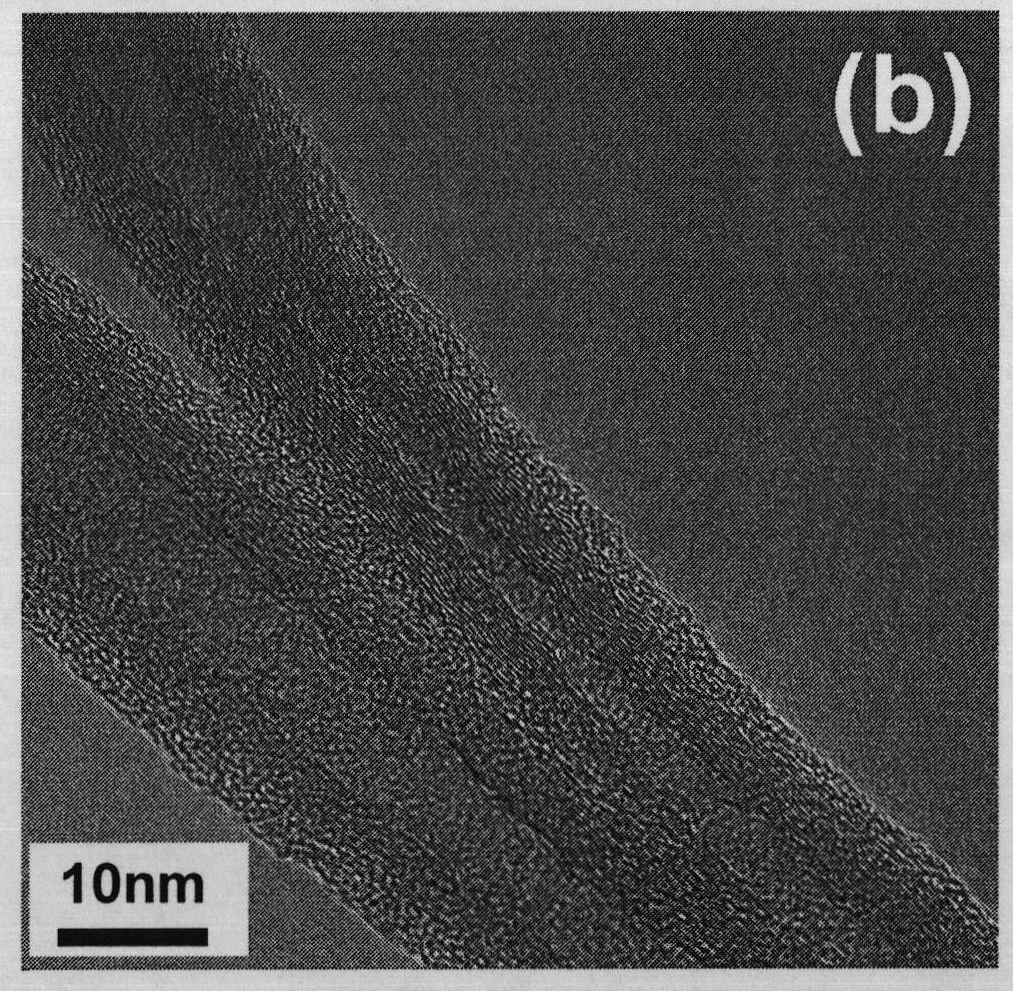 Method for improving electric conductivity of carbon nano tube network