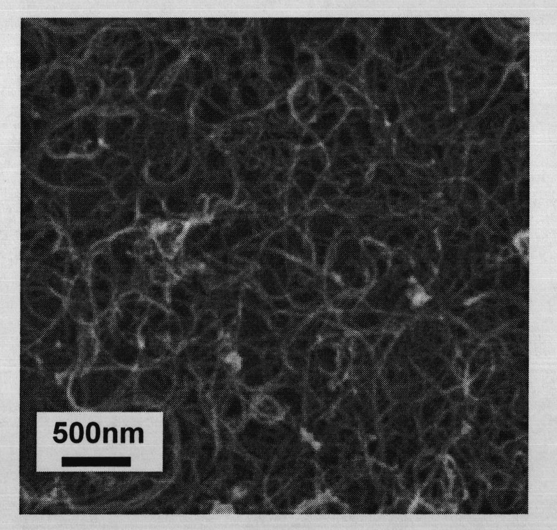 Method for improving electric conductivity of carbon nano tube network