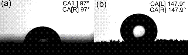 Polyurethane sponge loaded with hybridized graphene coating and preparation method of polyurethane sponge