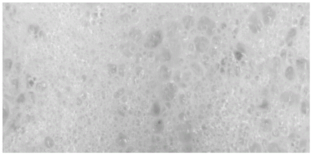 Foamed polyolefin composition and polyolefin foamed material, preparation method of foamed polyolefin composition as well as product prepared by adopting foamed polyolefin composition