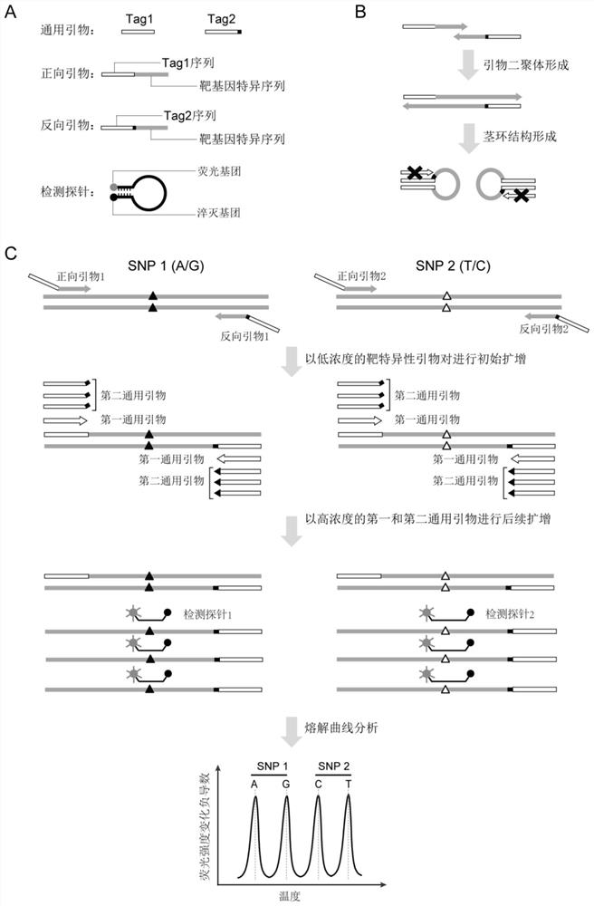 Method and kit for detecting presence or proportion of donors in acceptor sample