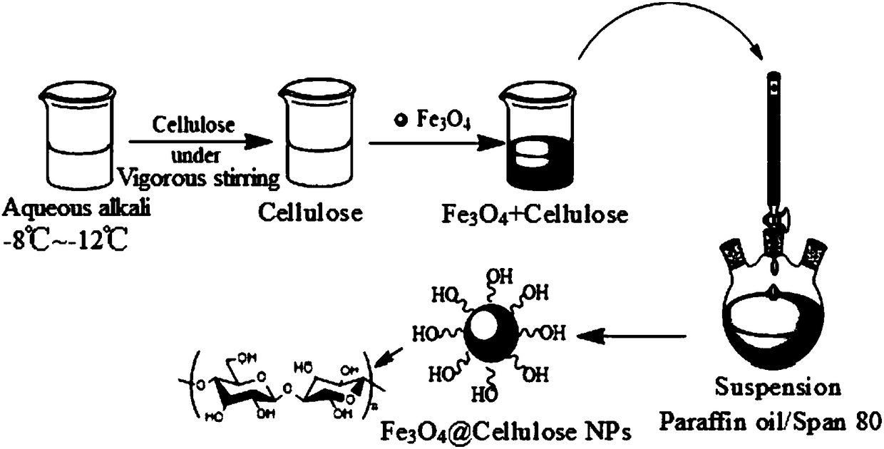 Method for preparing magnetic cellulose immobilized lysozyme