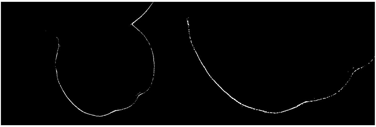 Method for preparing magnetic cellulose immobilized lysozyme