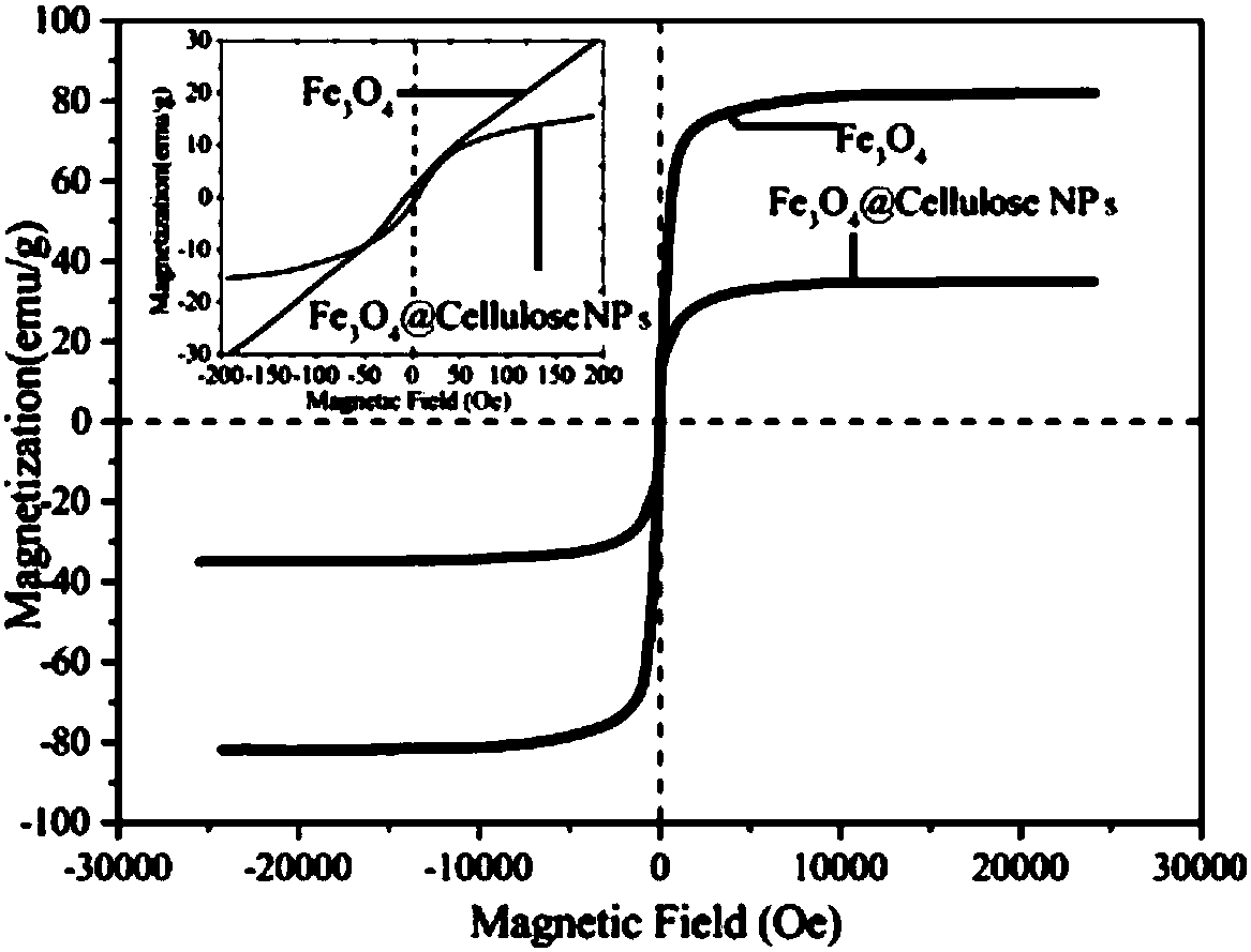 Method for preparing magnetic cellulose immobilized lysozyme